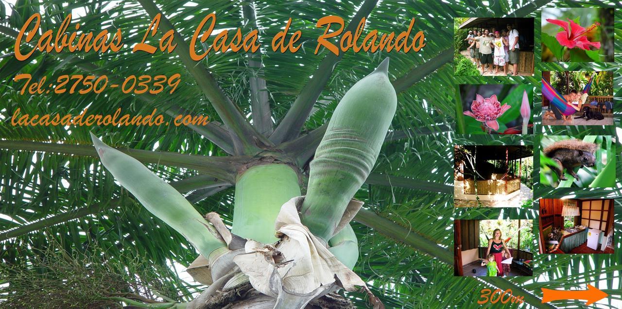 Villa La Casa de Rolando Puerto Viejo de Talamanca Exterior foto